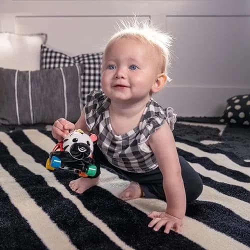 Baby Einstein Curious Car Zen Oball Toy Car & Rattle, Light Up, Ages 3 Months+ | Flexible, Grippable, Sensory Discovery thumbnail 5