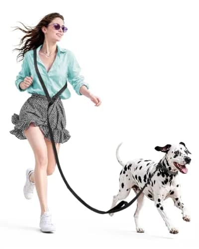 Heelay Hands Free Dog Leash 2.5m (8.2ft) Black | Adjustable Crossbody Rope for Medium-Large Dogs thumbnail 1