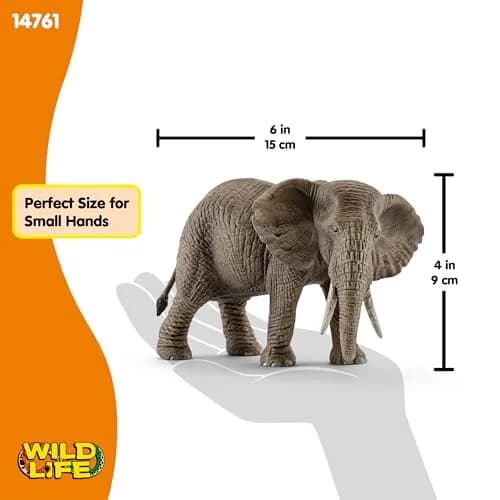 Schleich African Elephant Female Figurine 14.5 cm (5.7 inches) | Realistic Wildlife Toy for Kids Ages 3+ thumbnail 6