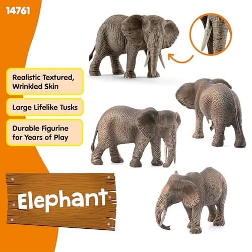 Schleich African Elephant Female Figurine 14.5 cm (5.7 inches) | Realistic Wildlife Toy for Kids Ages 3+ thumbnail 2