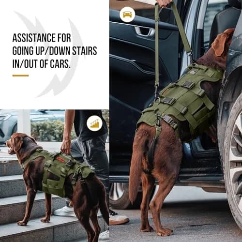 ONETIGRIS Dog Lift Harness for Large Dogs | Full Body Hip Support & Handles (Small) thumbnail 3