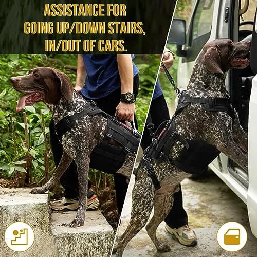 ONETIGRIS Dog Lift Harness for Small Dogs | Full Body Support with Handles, Mobility Aid, Hip Brace (Black, Small) thumbnail 4