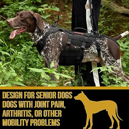 ONETIGRIS Dog Lift Harness for Small Dogs | Full Body Support with Handles, Mobility Aid, Hip Brace (Black, Small) thumbnail 5