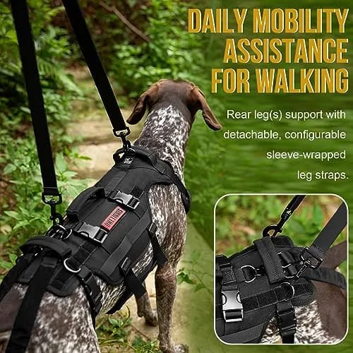 ONETIGRIS Dog Lift Harness for Small Dogs | Full Body Support with Handles, Mobility Aid, Hip Brace (Black, Small) thumbnail 3