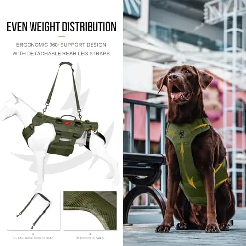 ONETIGRIS Dog Lift Harness for Large Dogs | Full Body Support with Handles, Hip Brace, Mobility Aid (Green, Large) thumbnail 4