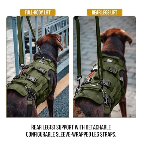 ONETIGRIS Dog Lift Harness for Large Dogs | Full Body Support with Handles, Hip Brace, Mobility Aid (Green, Large) thumbnail 2
