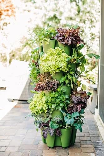 Greenstalk Large 5 Tier Vertical Garden Planter with Watering System | Grow Vegetables, Herbs & Flowers thumbnail 2