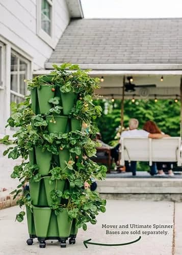 Greenstalk Large 5 Tier Vertical Garden Planter with Watering System | Grow Vegetables, Herbs & Flowers thumbnail 3