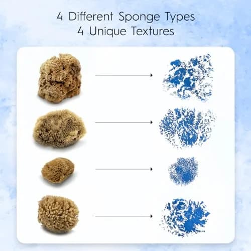Naroa Artist Natural Sea Sponges for Painting 4 Pack | Unique Tool Set Unbleached | Great for Artists & Children | Acrylic, Watercolor, Marbling, Texturing, Pottery, Ceramics thumbnail 2