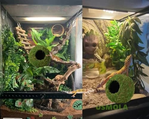 USMOLA Mossy Caves, Artificial Green Moss Hide for Reptiles & Amphibians | Durable Terrarium Decor (4" - Woodland Green) thumbnail 6