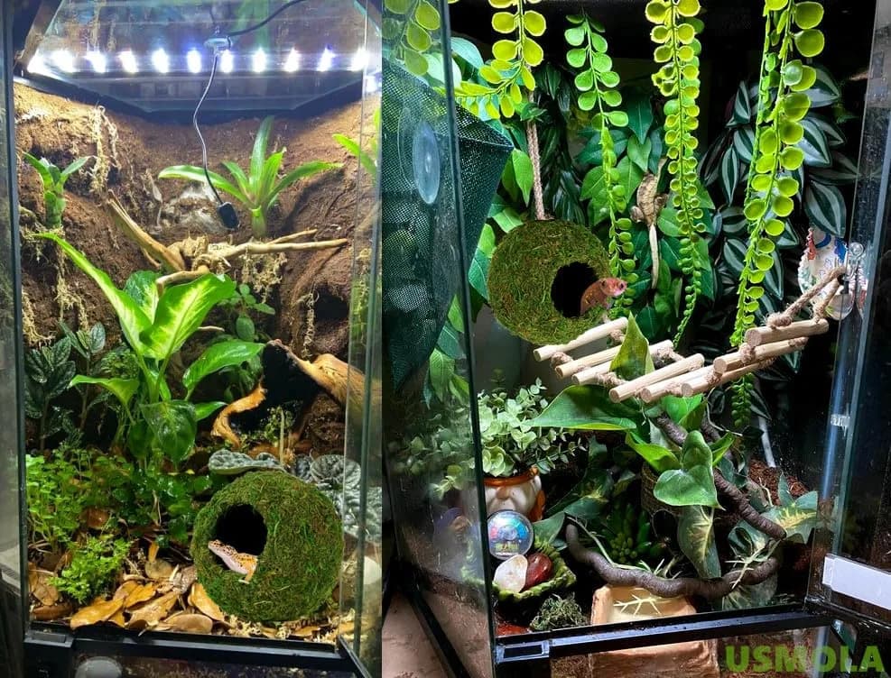 USMOLA Mossy Caves Hideout for Reptiles & Amphibians | 159g (5.6 oz) Woodland Green thumbnail 5
