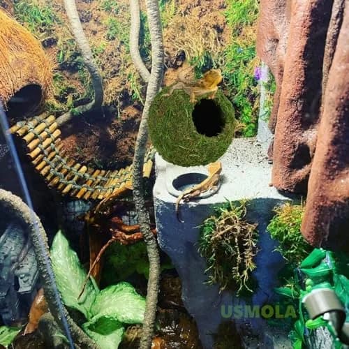 USMOLA Mossy Caves Hideout for Reptiles & Amphibians | 159g (5.6 oz) Woodland Green thumbnail 7