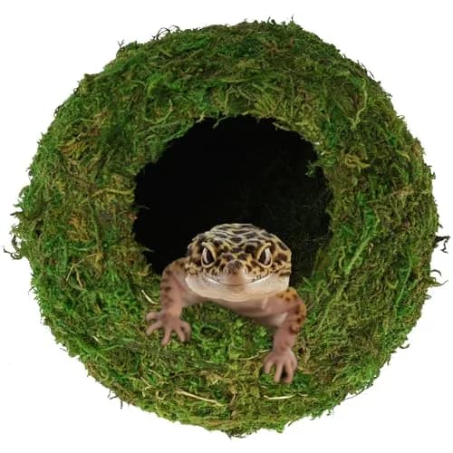 USMOLA Mossy Caves Hideout for Reptiles & Amphibians | 159g (5.6 oz) Woodland Green thumbnail 2