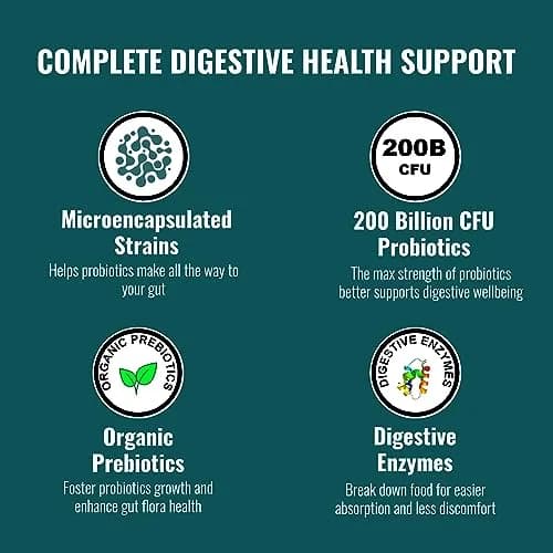 UpNourish Probiotics 200B CFUs | Vegan Capsules for Digestive Health Support thumbnail 2