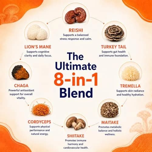 Malama Organic 8-Mushroom Powder Blend thumbnail 3