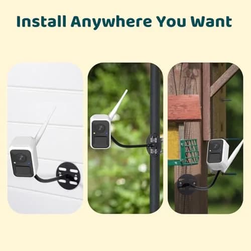 NETVUE Birdfy Smart Bird Camera with Adjustable Brackets | AI Bird ID & 6000+ Species thumbnail 4