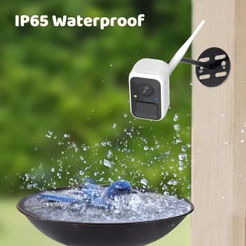 NETVUE Birdfy Smart Bird Camera with Adjustable Brackets | AI Bird ID & 6000+ Species thumbnail 7