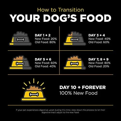 Go! Solutions Skin + Coat Care Duck Dry Dog Food, 22 lb | Supports Healthy Skin & Lustrous Coat thumbnail 9