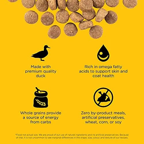 Go! Solutions Skin + Coat Care Duck Dry Dog Food, 22 lb | Supports Healthy Skin & Lustrous Coat thumbnail 3