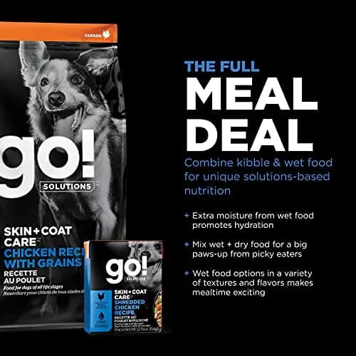 Go! Solutions Skin + Coat Care Chicken Dry Dog Food, 22 lb | Supports Healthy Skin & Shiny Coat thumbnail 7