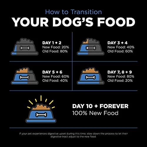Go! Solutions Skin + Coat Care Chicken Dry Dog Food, 22 lb | Supports Healthy Skin & Shiny Coat thumbnail 9