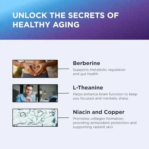 DR. EMIL NUTRITION Aging & Longevity Capsules | NAD+ Support, Berberine & L-Theanine, 30 Capsules thumbnail 5