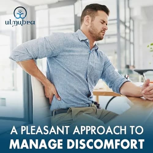Ulmubra Liposomal Palmitoylethanolamide 1300 MG + Luteolin 100 MG | Superior Absorption for Discomfort Relief thumbnail 6