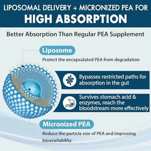 Ulmubra Liposomal Palmitoylethanolamide 1300 MG + Luteolin 100 MG | Superior Absorption for Discomfort Relief thumbnail 3
