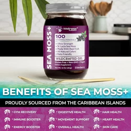 WELLNESS LABSRX Irish Sea Moss Gel Superfood Elderberry Flavor 296ml (10 Fl Oz) | Nutrient-Rich Superfood thumbnail 6