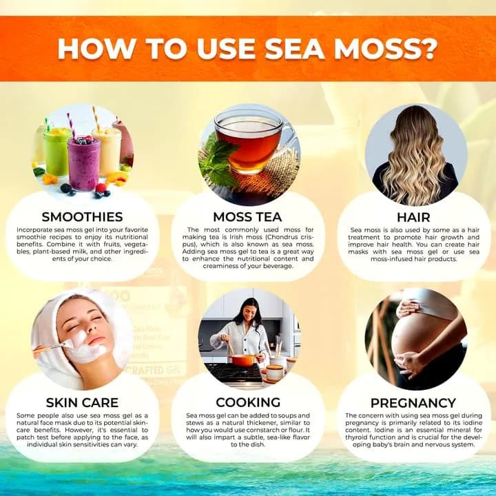 WELLNESS LABSRX Irish Sea Moss Gel Superfood Pineapple Mango 10 oz (296 ml) | Nutrient-Rich Superfood for Wellness thumbnail 7