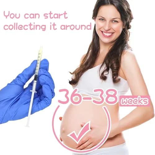 TrelaCo 1ml Colostrum Syringes with Caps & 20ml Cup | 100 Sterile Sets for Breast Milk Collection thumbnail 3