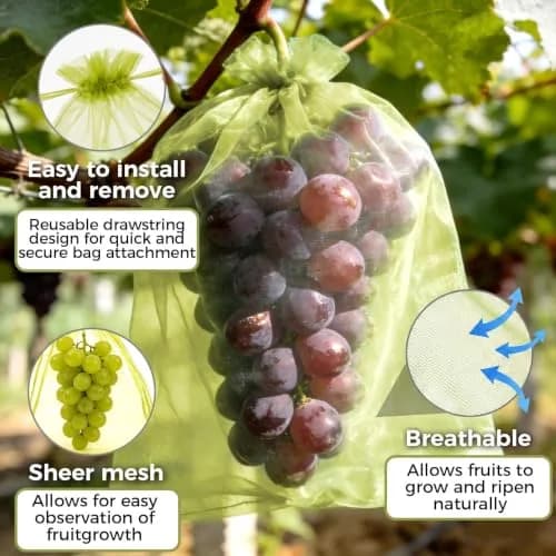 Sukh Fruit Protection Bags 6"x8" | Mesh Bags for Tree Fruits & Vegetables, Reusable, Green Nylon thumbnail 4