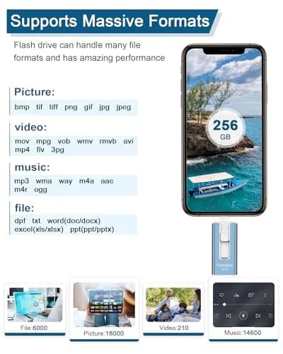 GNASEET 256GB USB Flash Drive for Phone and Pad | High-Speed External Memory Stick (Blue, 256GB) thumbnail 7