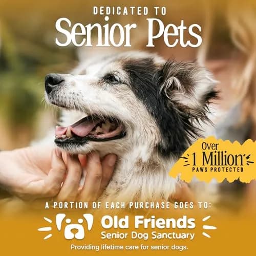 DOK TigerToes Premium Non-Slip Dog Socks for Hardwood Floors - Extra-Thick Grip, Small Size (4-Pack) | Prevents Licking, Slipping, and Protects Paws thumbnail 7