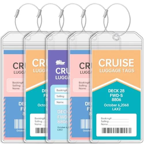 Teskyer Clear Cruise Luggage Tag Holder, Wide, 5 Pack | Waterproof PVC with Zipper & Steel Loop thumbnail 1