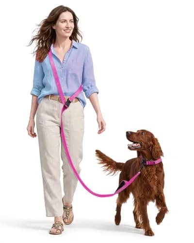 Heelay Hands Free Dog Leash 2.5m (8.2ft) Multifunctional Crossbody Rope with Foam Handle, Pink | Adjustable Training Leash for Medium-Large Dogs thumbnail 1