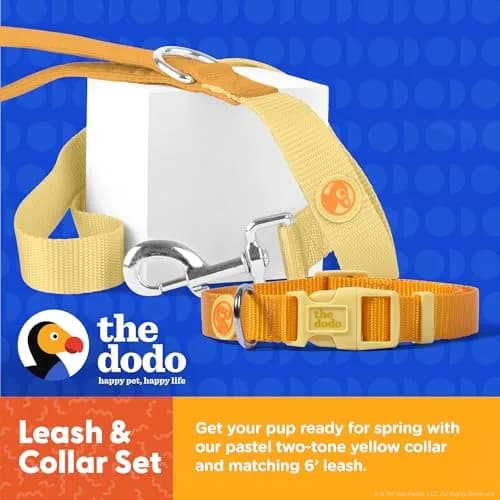 The Dodo All Nylon Yellow Collar and Leash Set - Small; Waterproof Dog Leash & Collar, Perfect for Beach or Lake Trips thumbnail 3