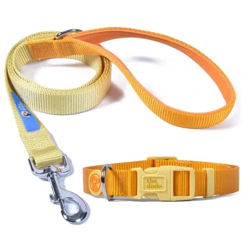 The Dodo All Nylon Yellow Collar and Leash Set - Large | Waterproof & Matching for Beach & Lake thumbnail 1