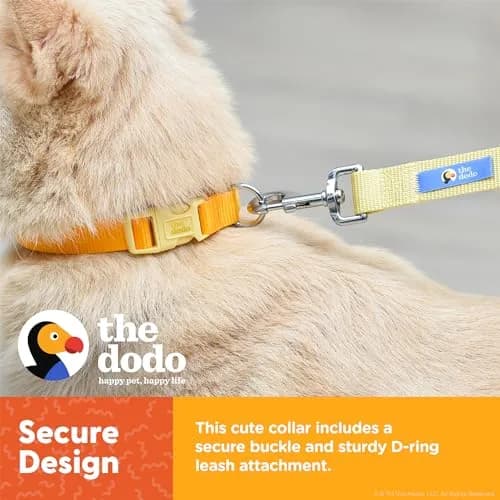 The Dodo All Nylon Yellow Collar and Leash Set - Large | Waterproof & Matching for Beach & Lake thumbnail 4