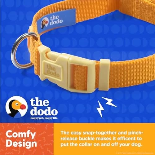 The Dodo All Nylon Yellow Collar and Leash Set - Large | Waterproof & Matching for Beach & Lake thumbnail 5