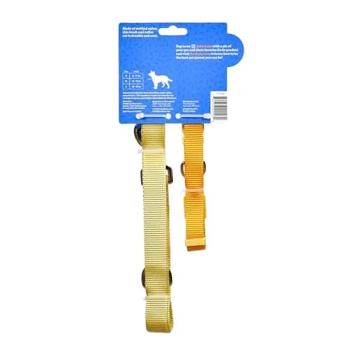 The Dodo All Nylon Yellow Collar and Leash Set - Large | Waterproof & Matching for Beach & Lake thumbnail 6