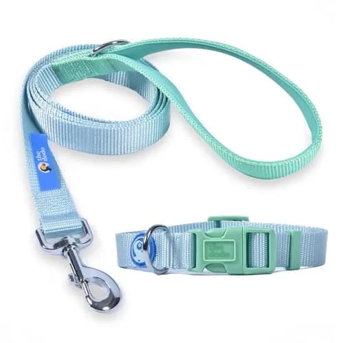 The Dodo All Nylon Blue and Green Collar and Leash Set - Small; Matching Waterproof Dog Accessories thumbnail 1