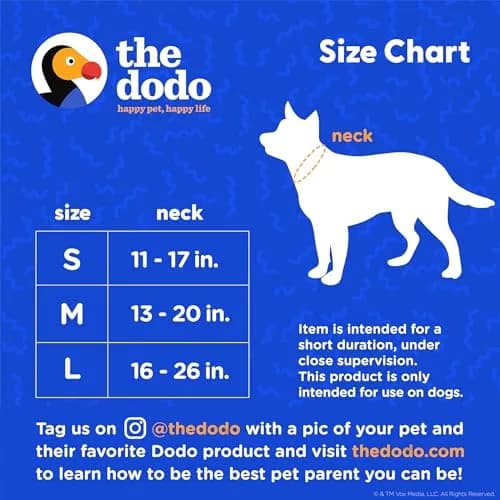 The Dodo All Nylon Blue and Green Collar and Leash Set - Small; Matching Waterproof Dog Accessories thumbnail 7
