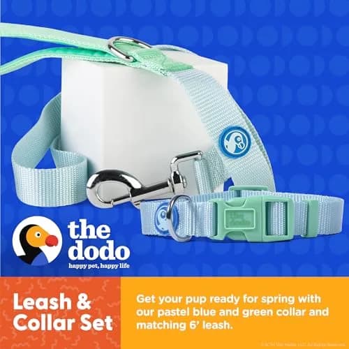 The Dodo All Nylon Blue and Green Collar and Leash Set - Small; Matching Waterproof Dog Accessories thumbnail 3
