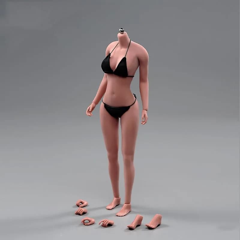 Fremego 1/6 Scale Asian Female Body 12-inch Seamless Figure with Large Bust | ASTM-Tested & BPA-Free Toy Figure thumbnail 3