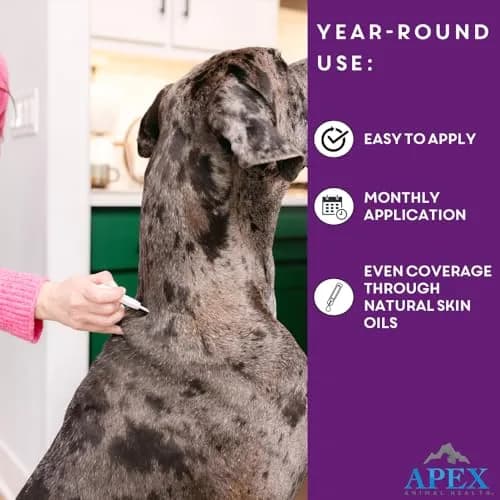 APEX ANIMAL HEALTH Apex Plus Flea & Tick Prevention for Large Dogs 45-88 lbs | 6-Month Supply thumbnail 6