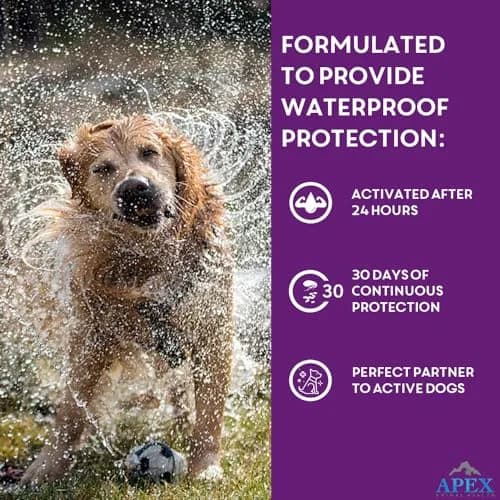 APEX ANIMAL HEALTH Apex Plus Flea & Tick Prevention for Large Dogs 45-88 lbs | 6-Month Supply thumbnail 7