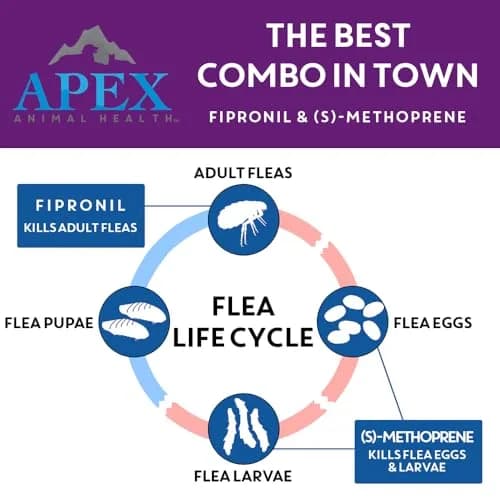 APEX ANIMAL HEALTH Apex Plus Flea & Tick Prevention for Large Dogs 45-88 lbs | 6-Month Supply thumbnail 3