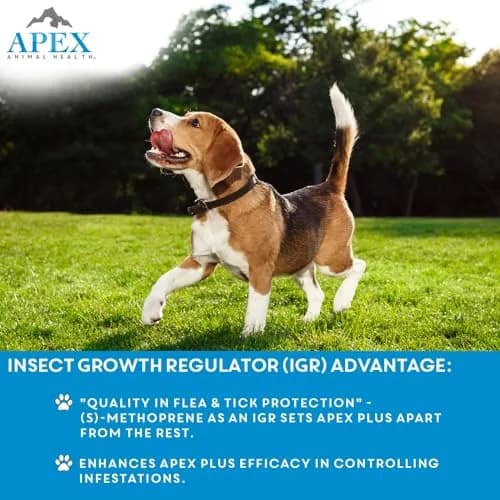 APEX ANIMAL HEALTH Apex Plus Flea & Tick Prevention for Medium Dogs 23-44 lbs | 3-Month Supply thumbnail 5
