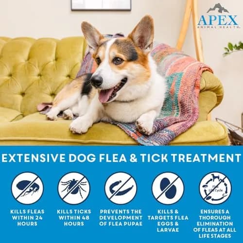 APEX ANIMAL HEALTH Apex Plus Flea & Tick Prevention for Medium Dogs 23-44 lbs | 3-Month Supply thumbnail 2